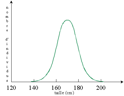 Qu'est-ce qui affecte la précision d'une mesure de poids ?